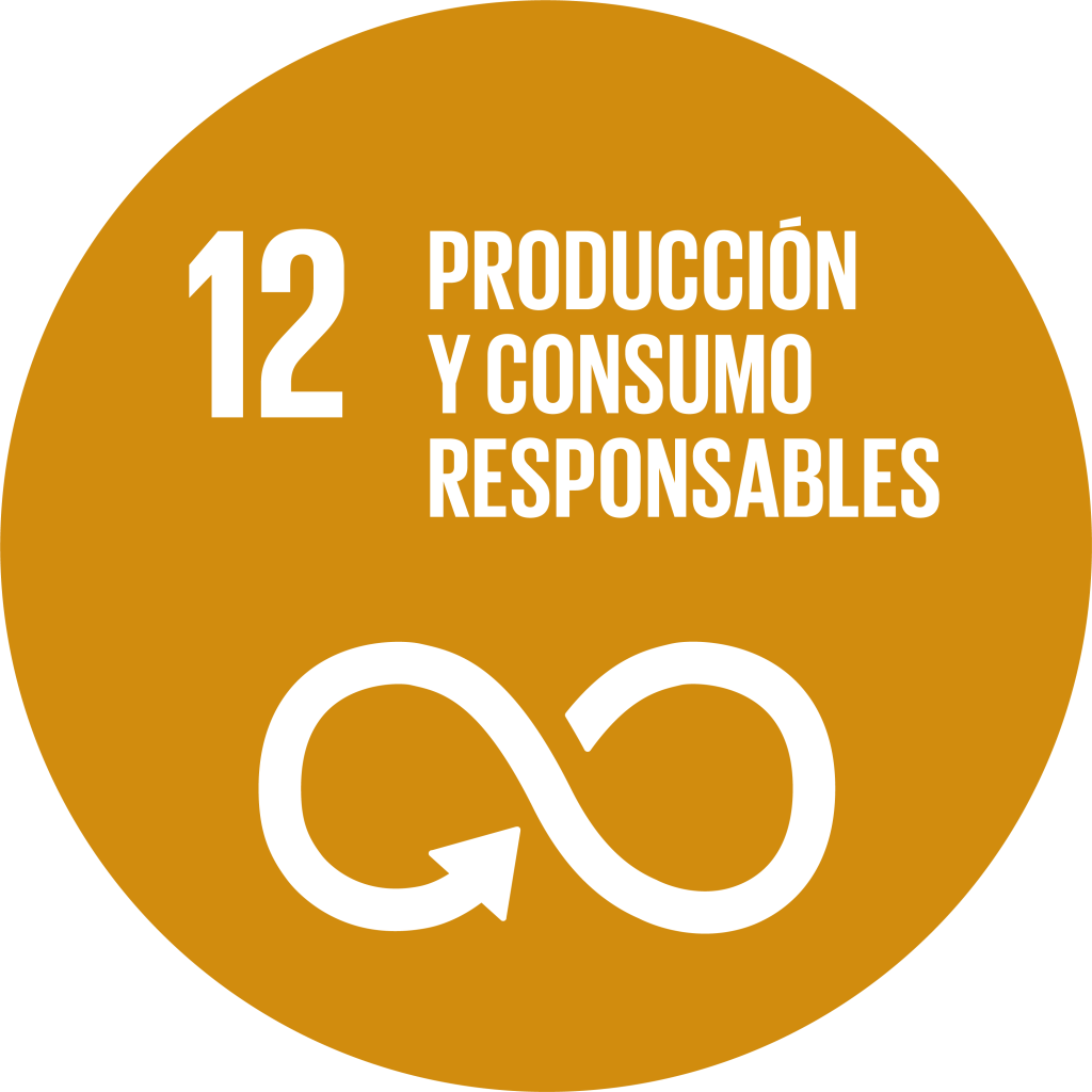 ODS 12